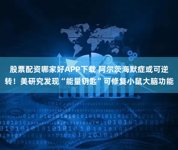 股票配资哪家好APP下载 阿尔茨海默症或可逆转！美研究发现“能量钥匙”可修复小鼠大脑功能